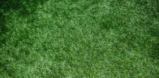 Jakie okrycie kąpielowe dla noworodka?