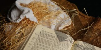 Jak często zmieniać pieluchy u noworodka?