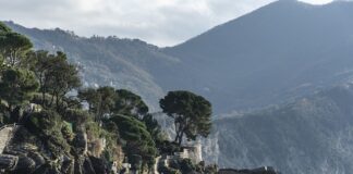 Ile kosztuje twarda oprawa książki?