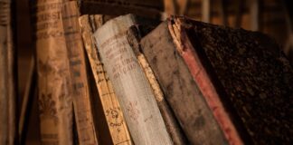 Na co dzieli się książka?