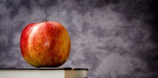 Co zrobić z nadmiarem książek?