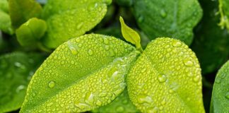 Czy eko skóra oddycha?